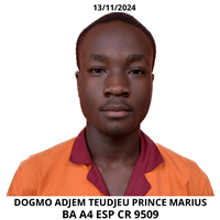 DONGMO ADJEM TEUDJEU